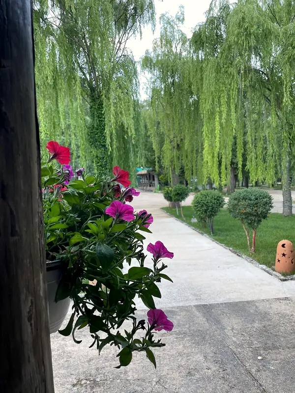 Flower-filled corners
