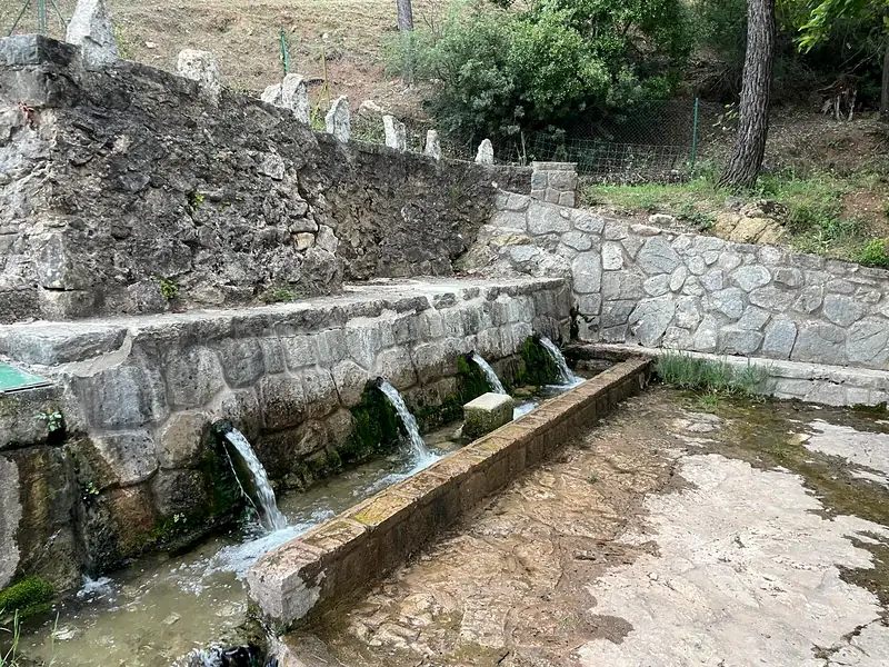 Spouts of the Fuente de la Pascuala spring