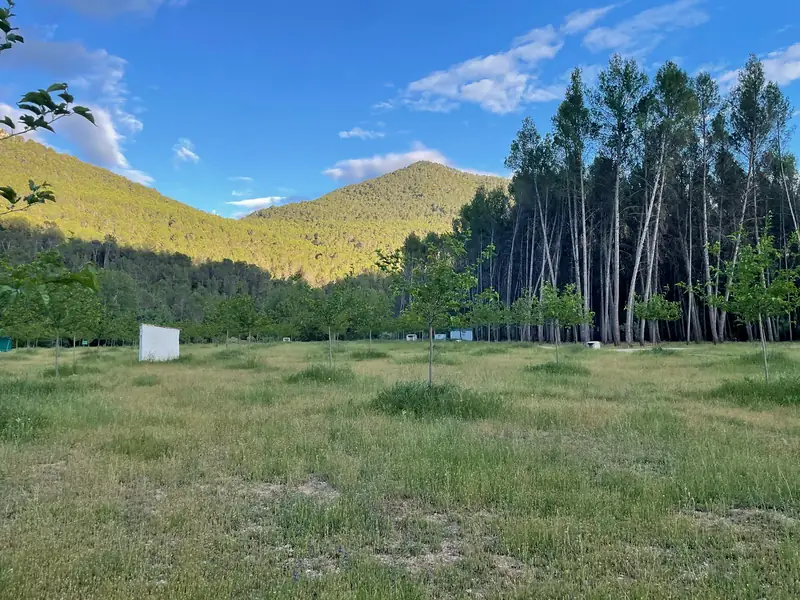 Pitches with mountain views