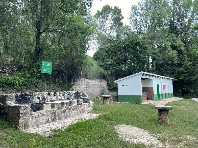 Facilities among the trees